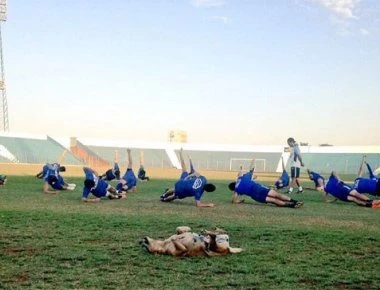 Αδέσποτη σκυλίτσα έγινε βοηθός προπονητή σε ομάδα στην Παραγουάη (φωτό)